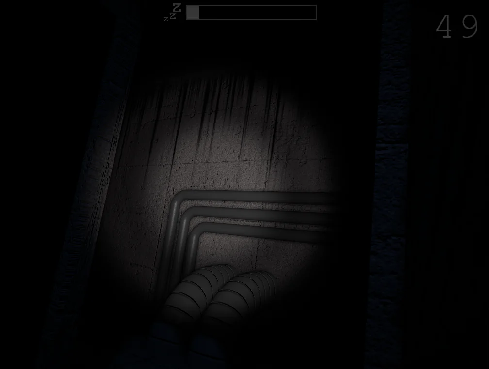 Camera system in JOLLY 2